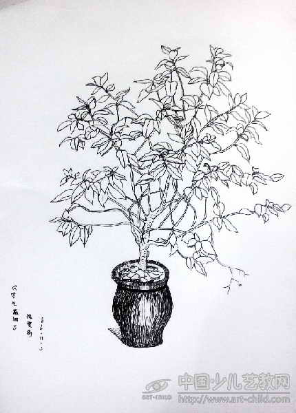 作品名称《写生植物》