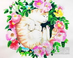 花中的猫