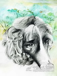 狗的幻想