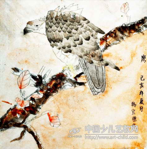 鹰