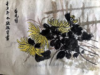 犁耙菊花