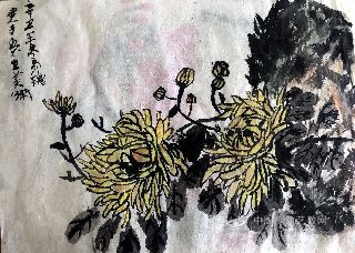 山石菊花