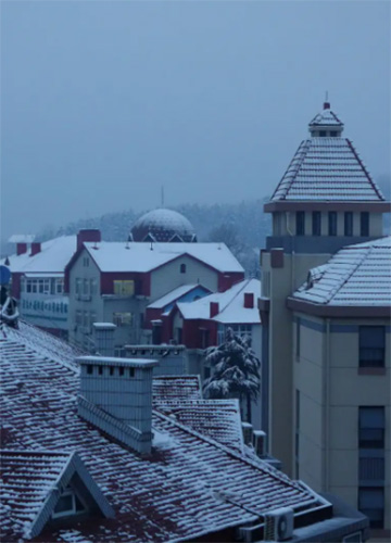 雪从窗外来