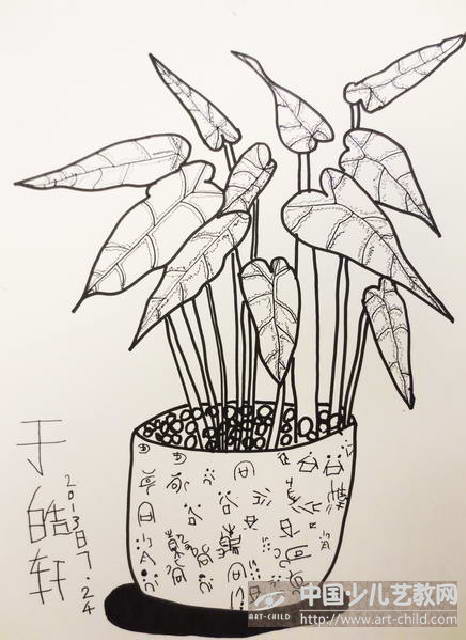 作品名稱: 《植物感覺寫生》