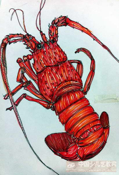 澳洲大龙虾怎么画好看图片