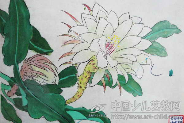 作品名稱: 《曇花》