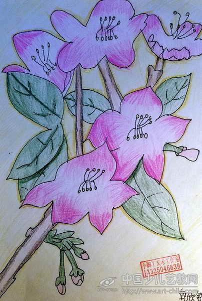 > 作品参赛详情