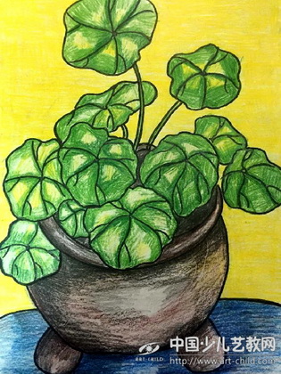 作品名称:  《虎耳草》