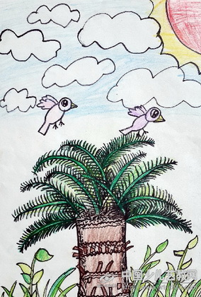 作品名称:  《铁树写生》